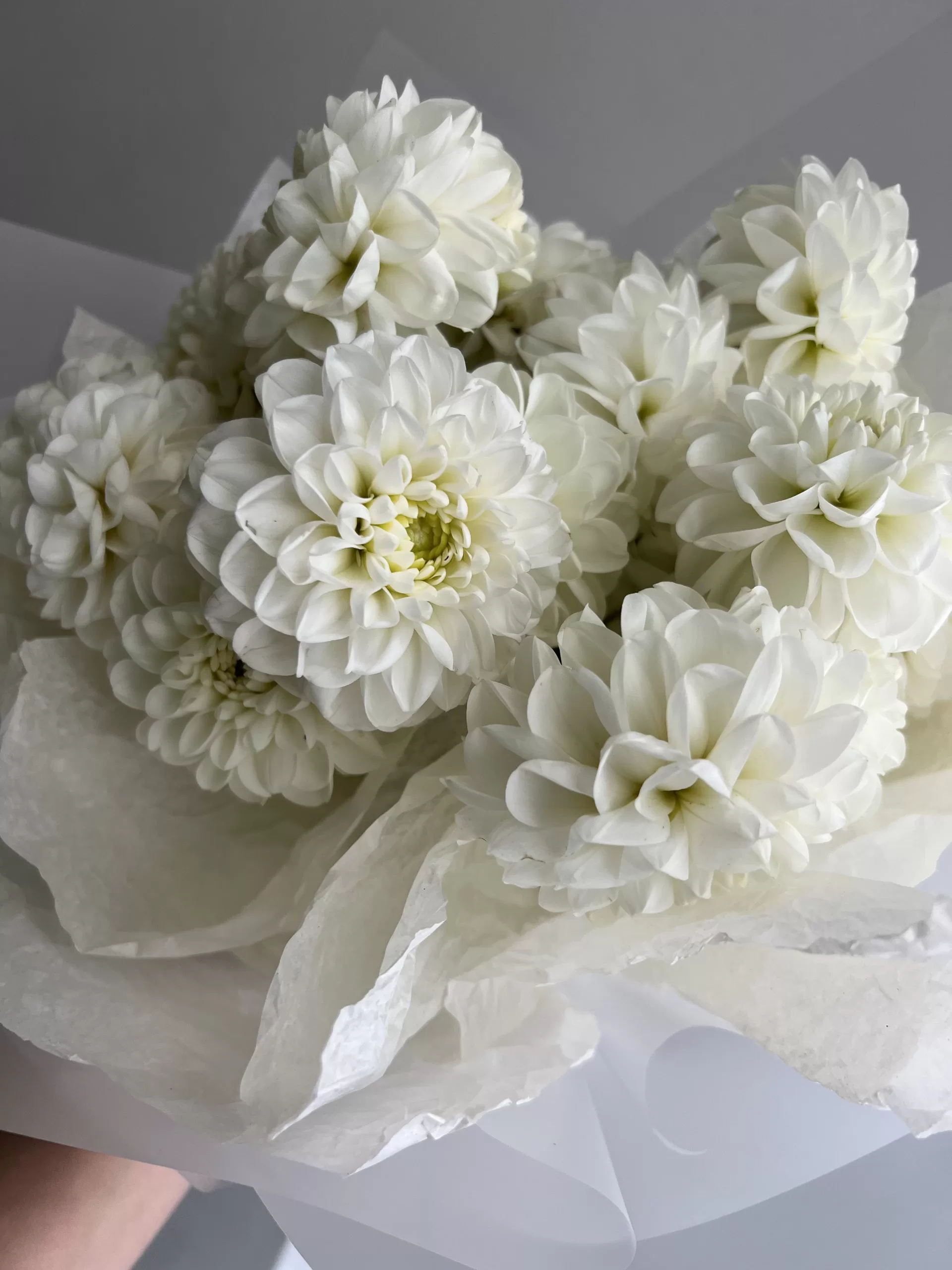 Bouquet Of Dahlias - Image 4