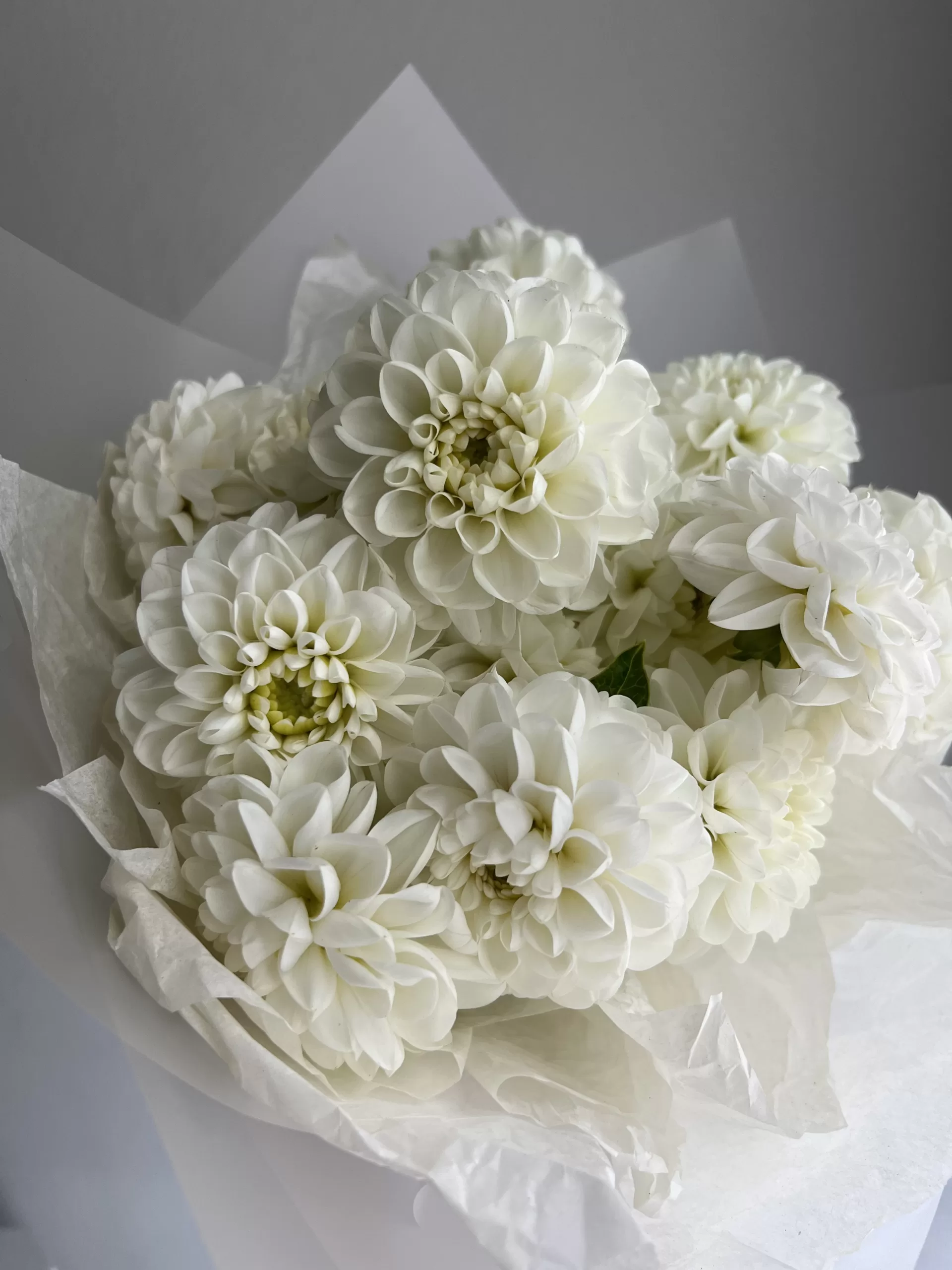 Bouquet Of Dahlias - Image 3