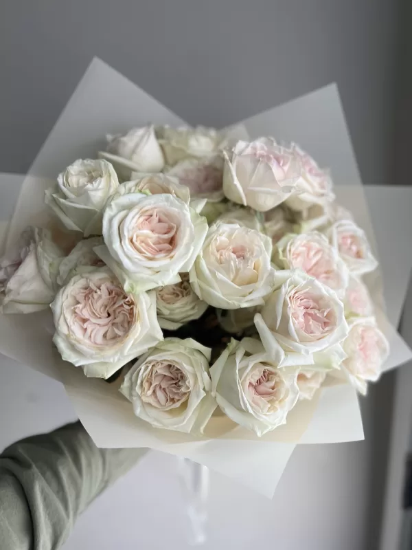 White “ O’Hara”