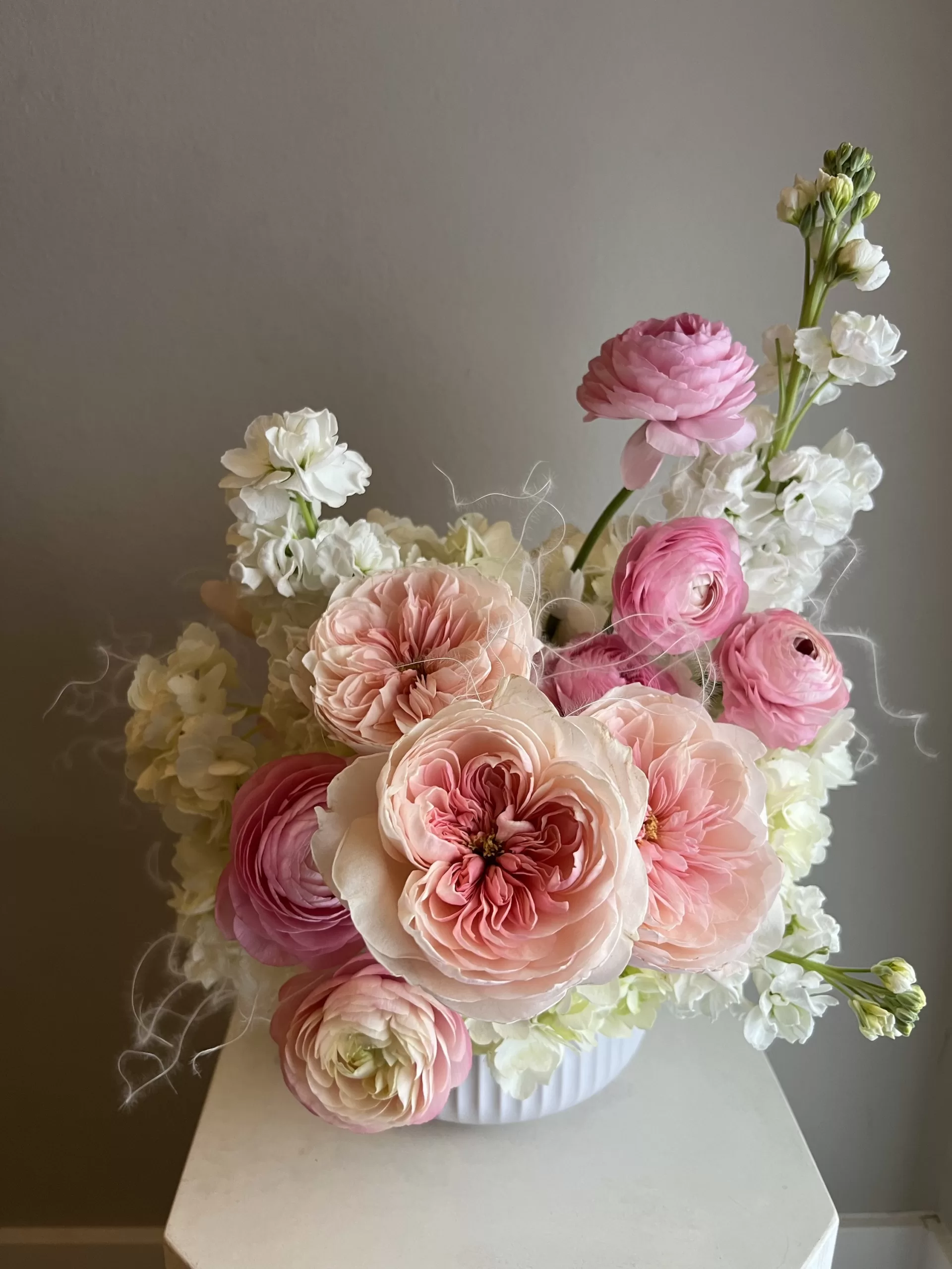 Compliment - Image 3