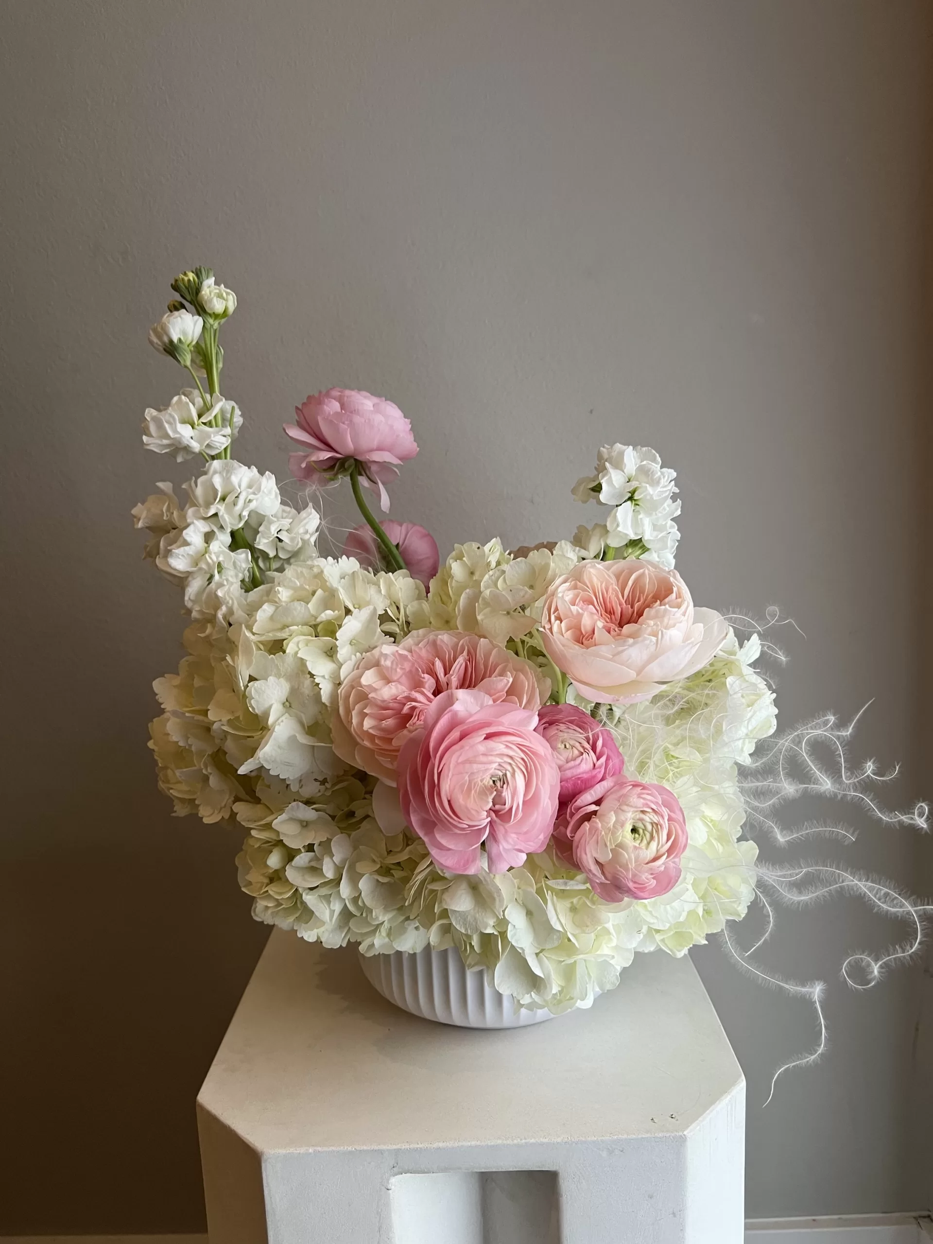 Compliment - Image 2