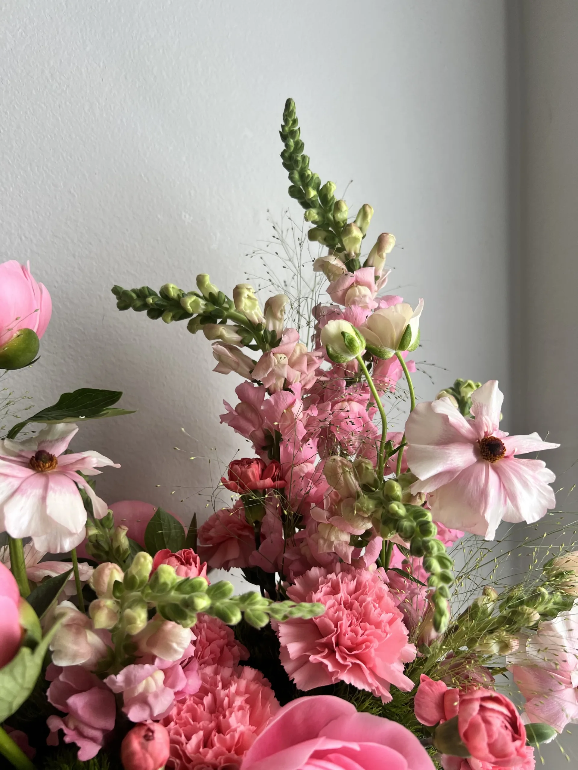 Bright May - Image 3