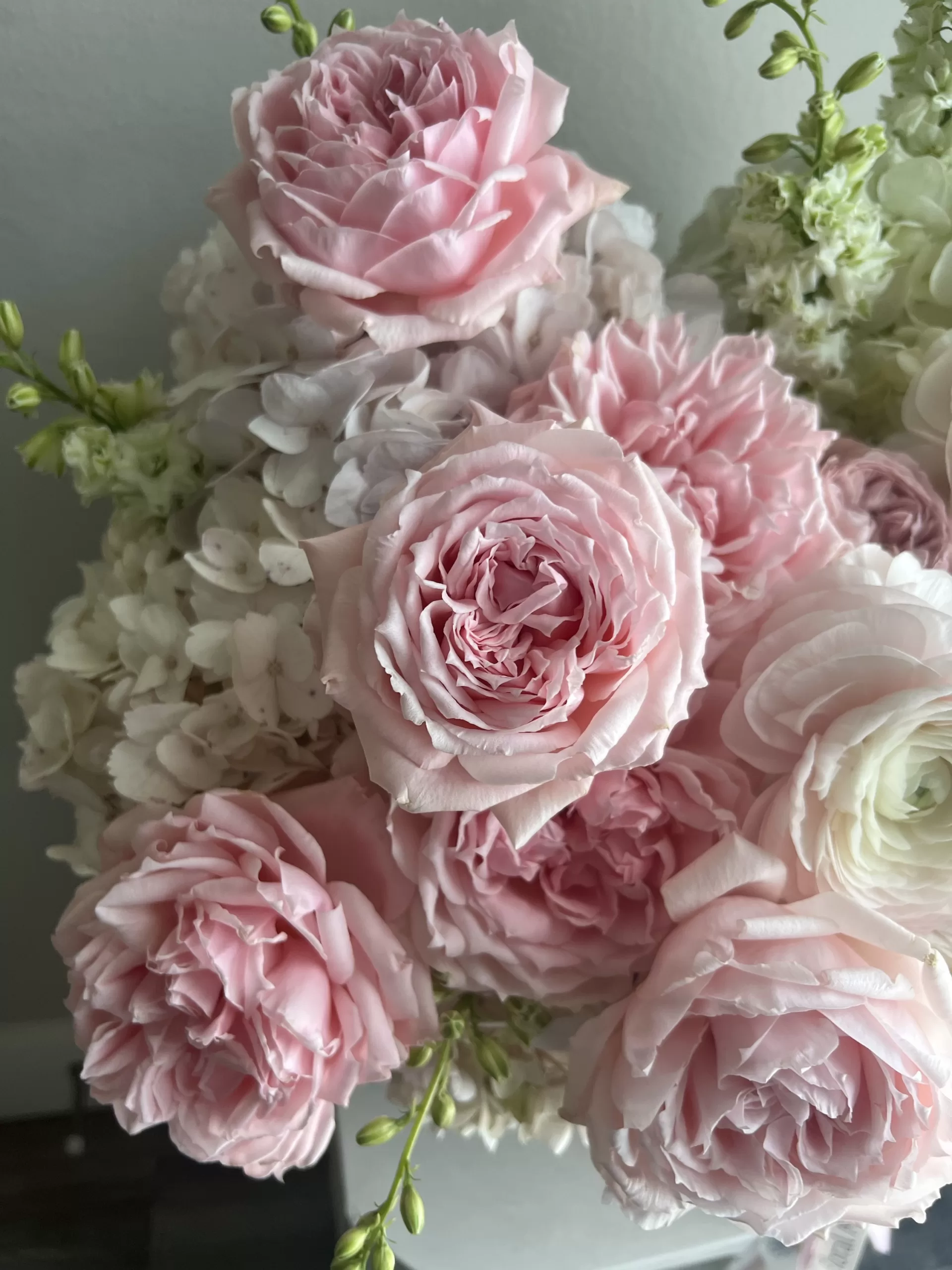 Blooming Garden - Image 2