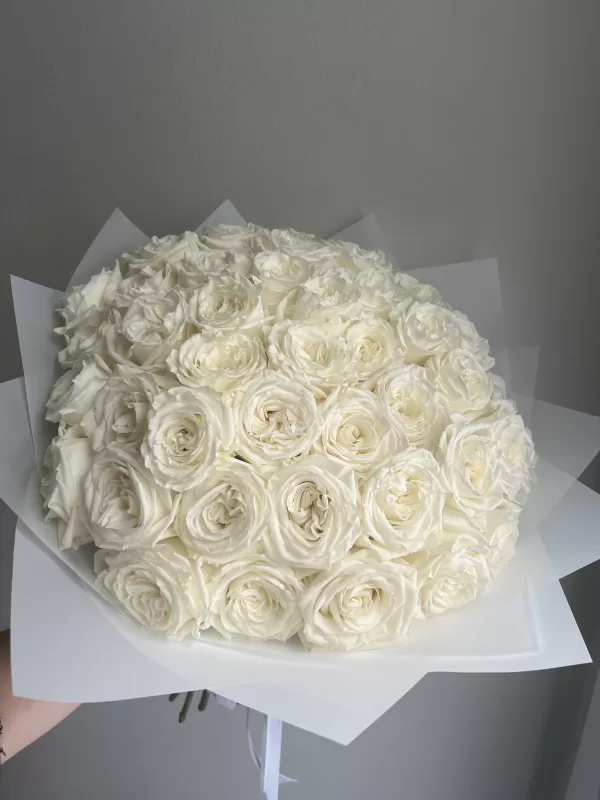 50 White Roses