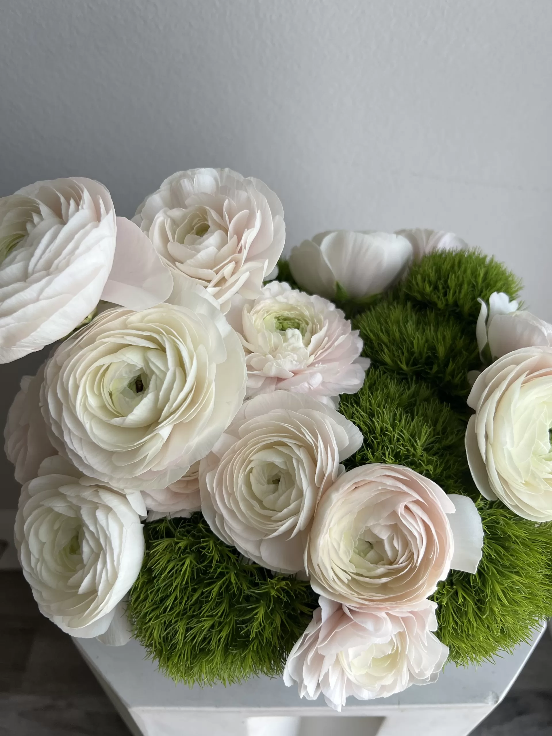 Elegant Ranunculus - Image 2