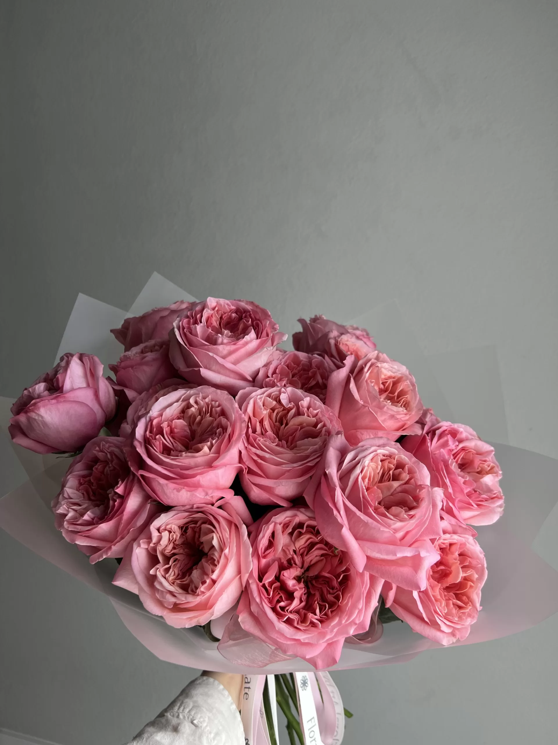 Expressing Gratitude - Image 4