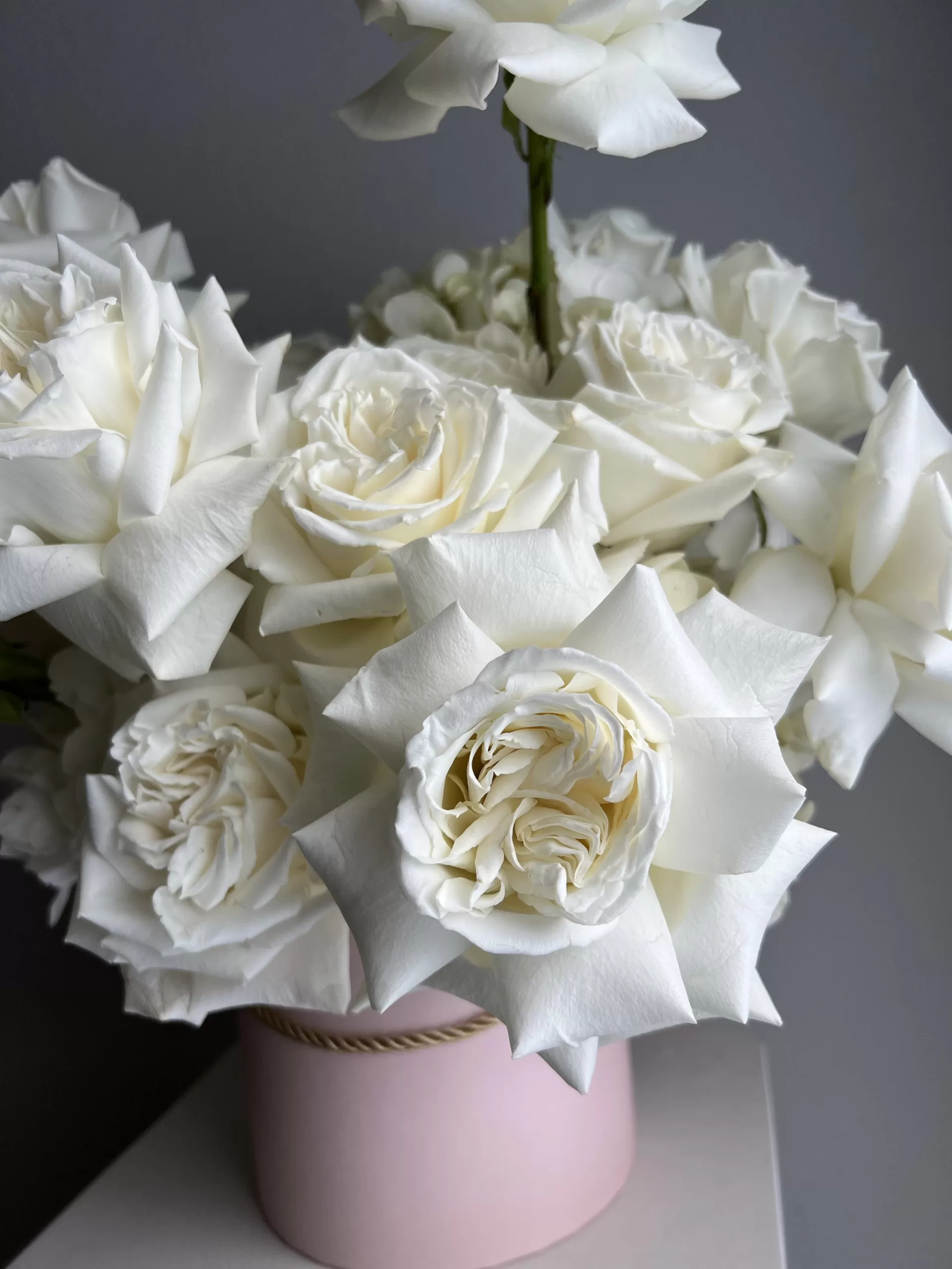 A Box Of White Roses - Image 3