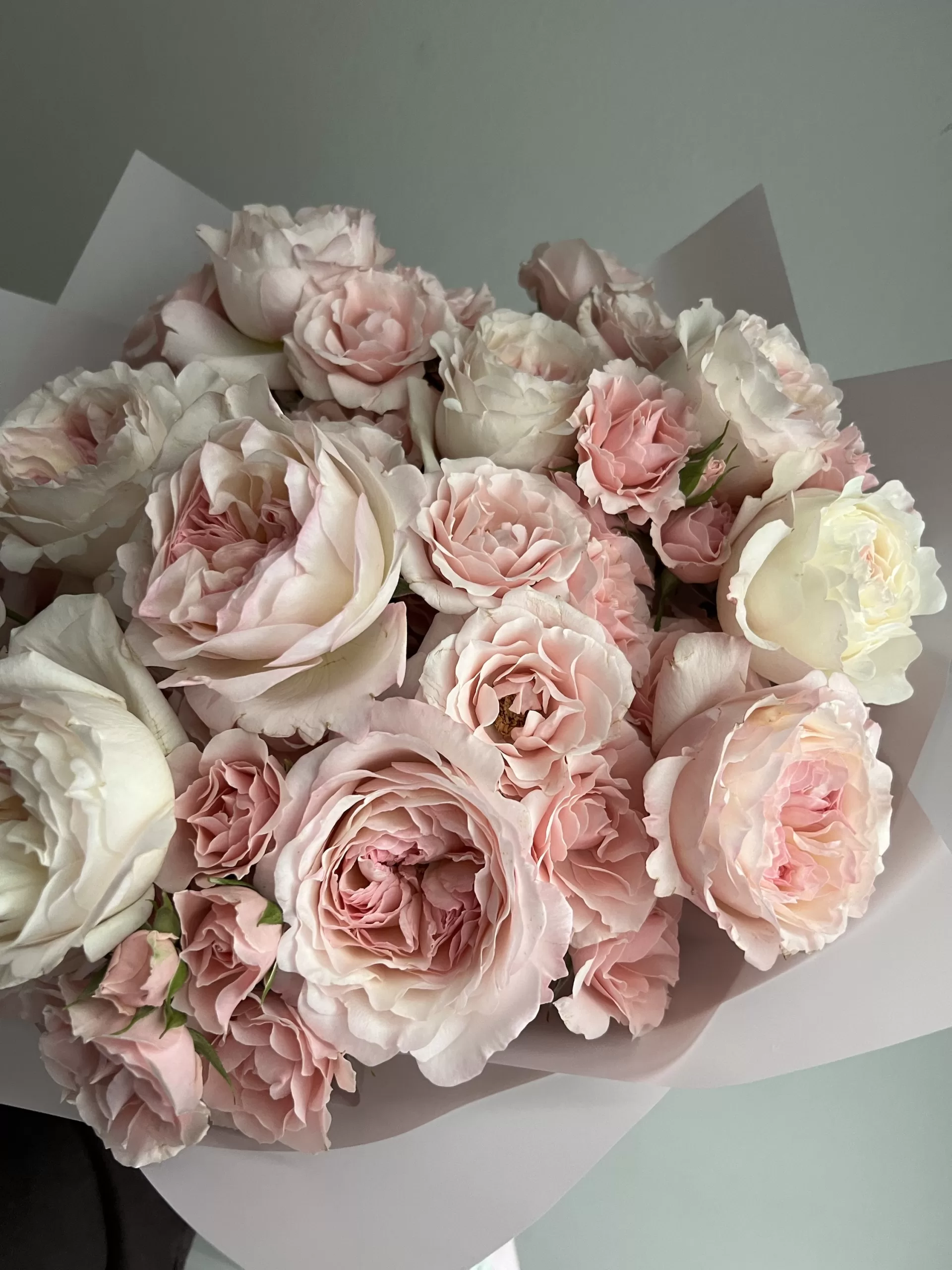Blush pink - Image 4