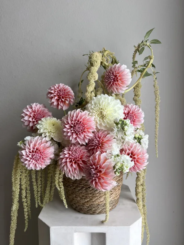 Peach And Cream