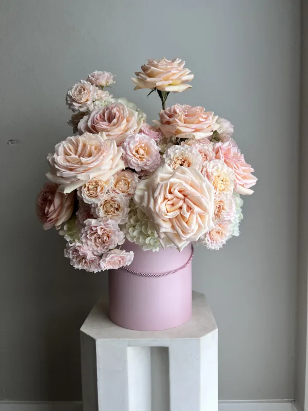 Peach Sorbet