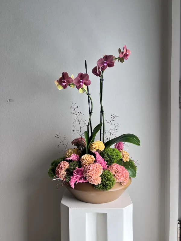 Autumn Orchid